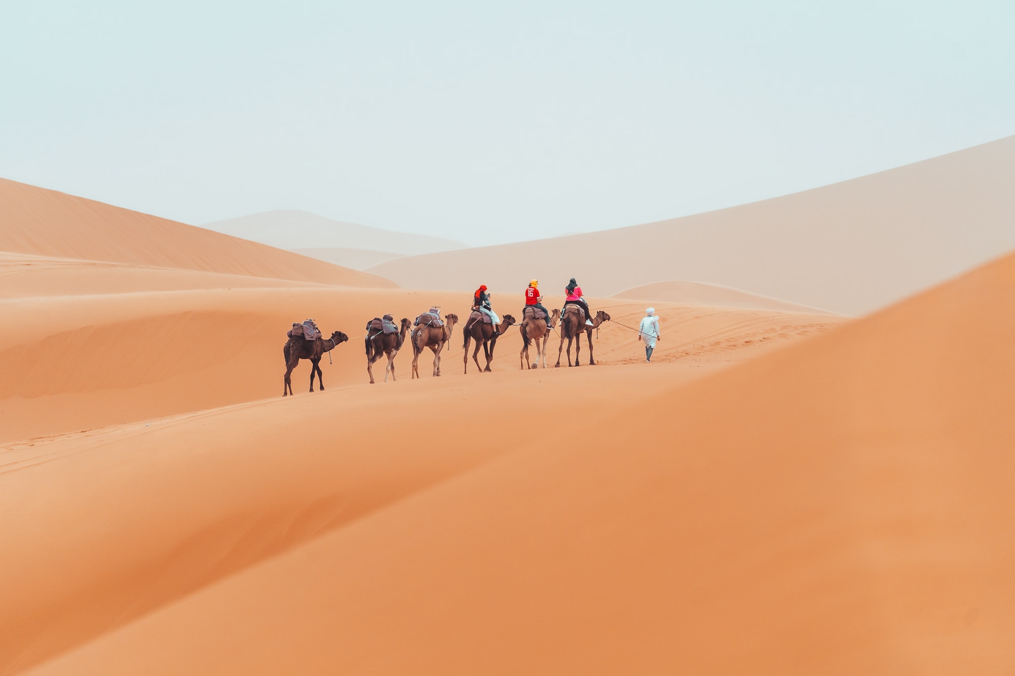 Camel trek with tourists through the sahara desert in Merzouga, Morocco