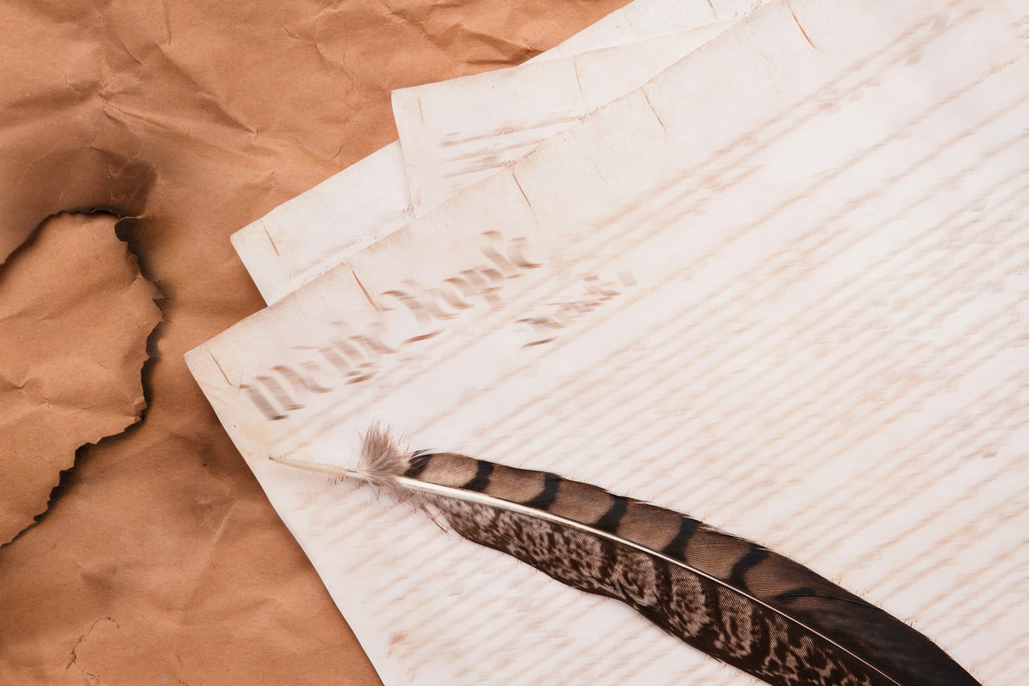 Old historical script writing and quill feather.
