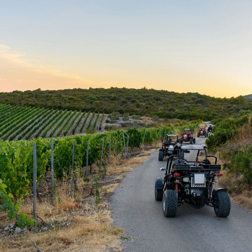 Buggy tour in vineyards of Korcula island in Croatia