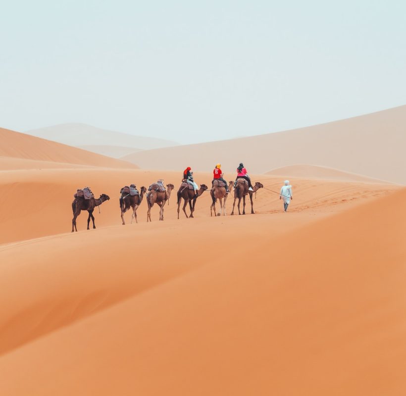 Camel trek with tourists through the sahara desert in Merzouga, Morocco Camel trek with tourists through the sahara desert in Merzouga, Morocco