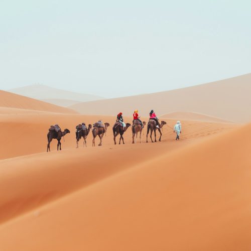 Camel trek with tourists through the sahara desert in Merzouga, Morocco