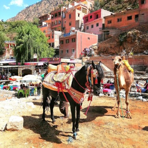 ourika