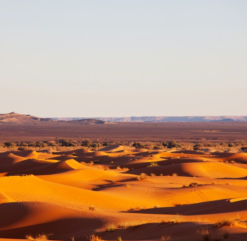 Sand desert